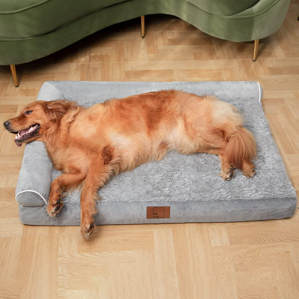 Tucker Murphy Pet™ Dog Bed For Extra Large Dogs, Memory Foam Orthopedic